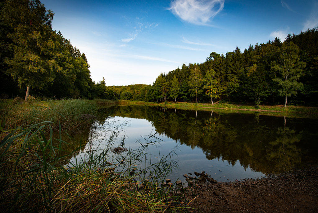 Sägeweiher